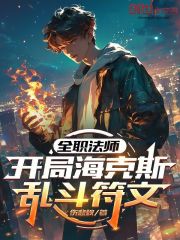 全职法师：开局海克斯乱斗符文