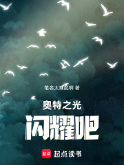 奥特之光，闪耀吧