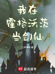 我在霍格沃茨当剑仙