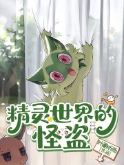 精灵世界的怪盗