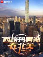 美利坚：孤狼系男神