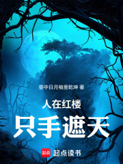 人在红楼，只手遮天