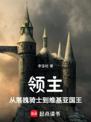 领主：从落魄骑士到维基亚国王