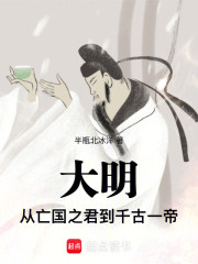 我在大明演汉高祖