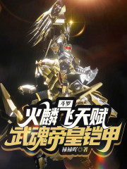 斗罗：火麟飞天赋，武魂帝皇铠甲