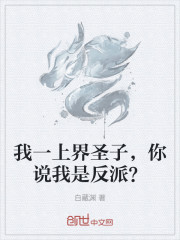 我一上界圣子，你说我是反派？
