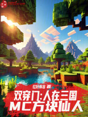 双穿门：人在三国，MC方块仙人