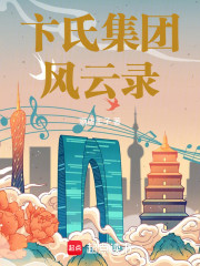 卞氏集团风云录