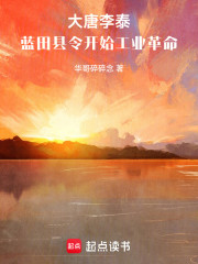 大唐李泰：蓝田县令开始工业革命