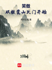 笑傲从被嵩山灭门开始