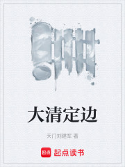 大清定边
