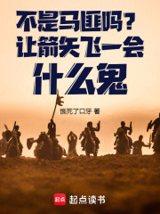 不是马匪吗？让箭矢飞一会什么鬼