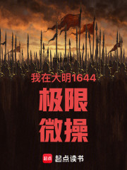 我在大明1644极限微操