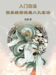 入门功法，但系统非说是八九玄功