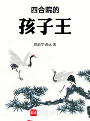 四合院的孩子王