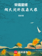 宋境星槎：烟火间科技染风雅