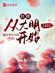红楼：从大明1453开始