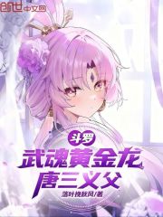 斗罗：武魂黄金龙，唐三义父