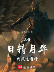 从食日精月华到武道通神
