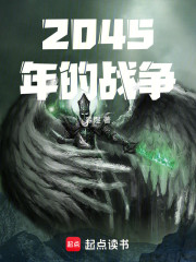 2045年的战争