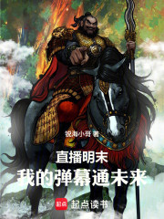 直播明末：我的弹幕通未来