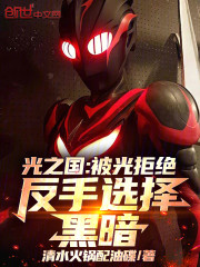 光之国：被光拒绝，反手选择黑暗