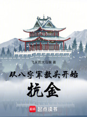 从八字军教头开始抗金