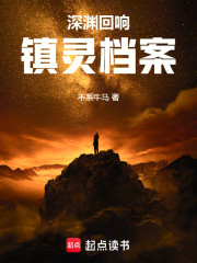 深渊回响：镇灵档案