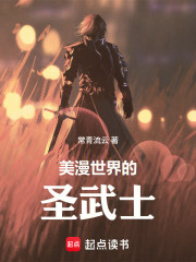 美漫世界的圣武士