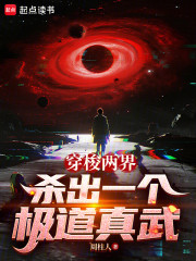 穿梭两界，杀出一个极道真武！