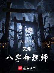 天命：八字命理师