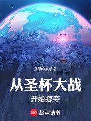 从圣杯大战开始掠夺