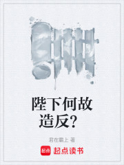 陛下何故造反？