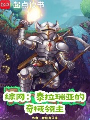 综网：泰拉瑞亚的奇械领主