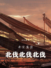 南宋高宗：北伐！北伐！北伐！