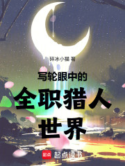 写轮眼中的全职猎人世界