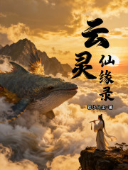 云灵仙缘录