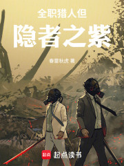 全职猎人，但隐者之紫