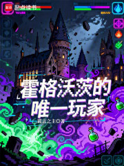 霍格沃茨的唯一玩家