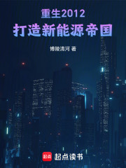 重生2012，打造新能源帝国