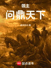 领主：问鼎天下