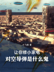 让你修小家电，对空导弹是什么鬼