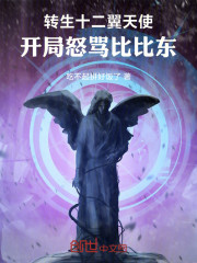 转生十二翼天使，开局怒骂比比东