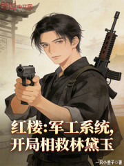 红楼：军工系统，开局相救林黛玉
