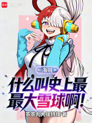 海贼：什么叫史上最最大雪球啊！