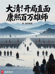 大清！开局直面康熙百万雄师