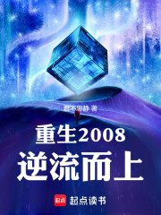 重生2008：逆流而上