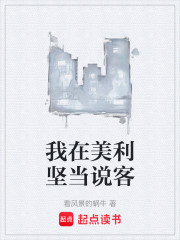 我在美利坚当说客