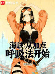 海贼：从加点呼吸法开始
