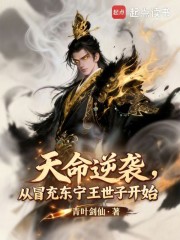 天命逆袭，从冒充东宁王世子开始